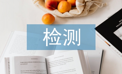 瀝青路面平整度檢測(cè)研究