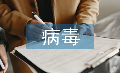 基于防火墻和病毒查殺的網(wǎng)絡安全機制