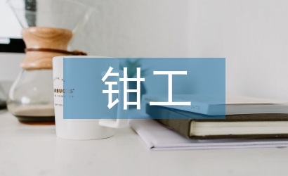 大學(xué)生鉗工實(shí)訓(xùn)總結(jié)