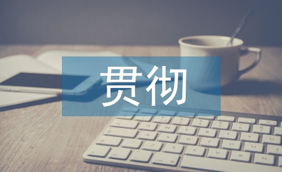 貫徹落實(shí)情況報(bào)告