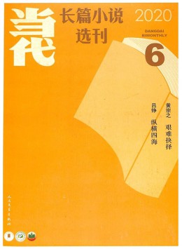 當(dāng)代長(zhǎng)篇小說選刊雜志